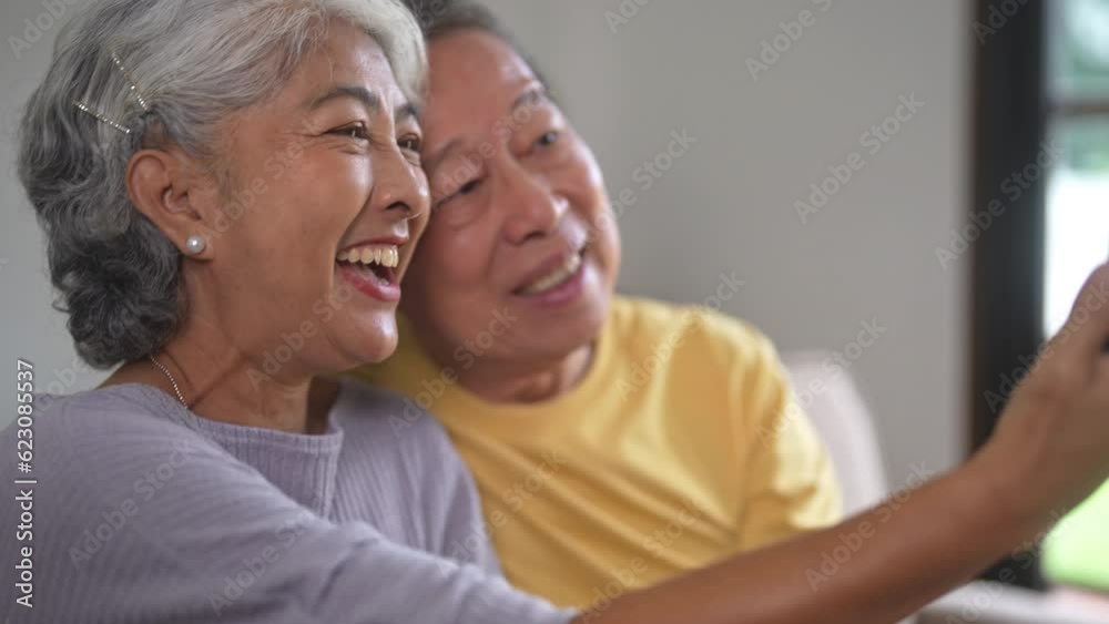 Happy senior couple using smart phone for video call at home