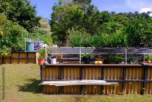 An allotment garden in hort park. The Allotment Gardening Scheme in Singapore allows people to lease plots for growing greens or plants. These plots are found in public spaces and parks islandwide photo