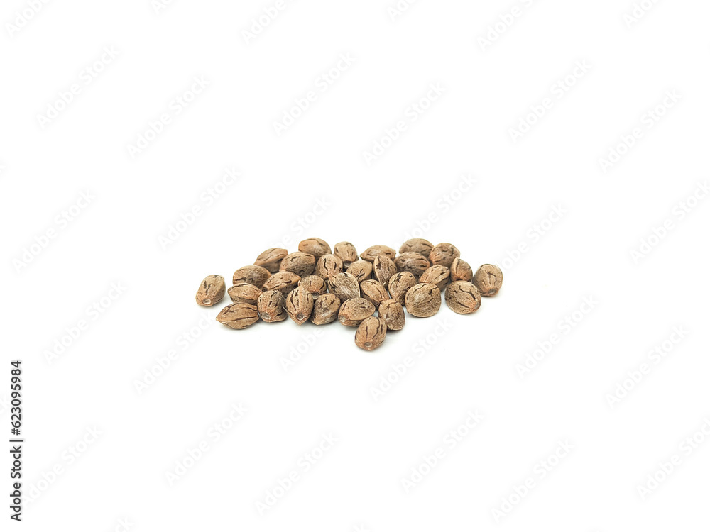 Cannabis seeds that are ready to be planted and bred. placed on a white background. Cannabis seeds that are ready to be planted and bred. placed on a white background.