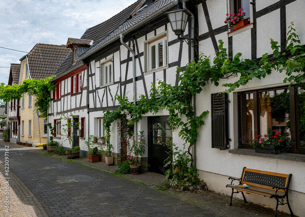the grape vines grow along the half timbered houses in the town of erpel in germany