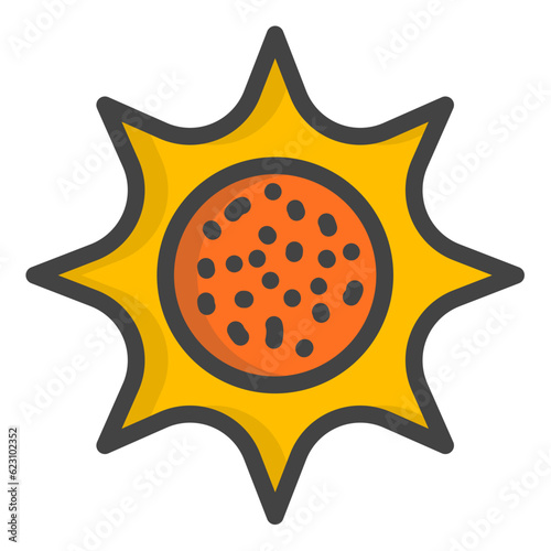 Sun