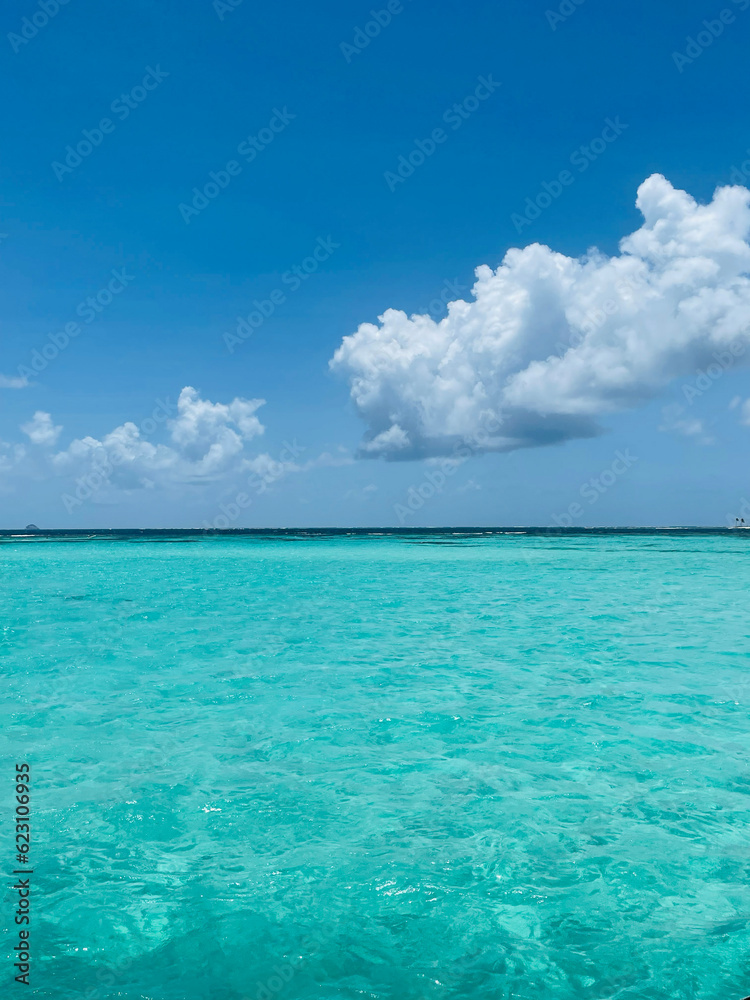 Paysage dans Les Tobago Cays dans les Iles Grenadines