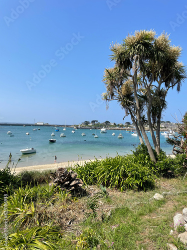Paysage de l'Ile de Batz en Bretagne en France