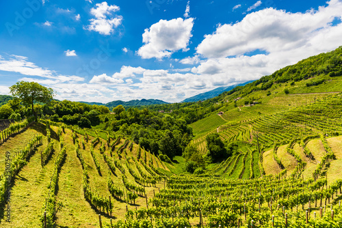 The Prosecco Hills in Italy