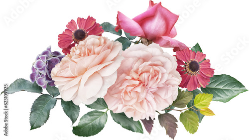 Foto Roses isolated on a transparent background