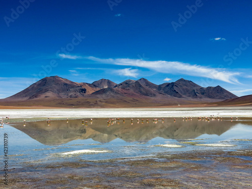 Beautiful mountain landscape with water reflection and wild flamingos photo