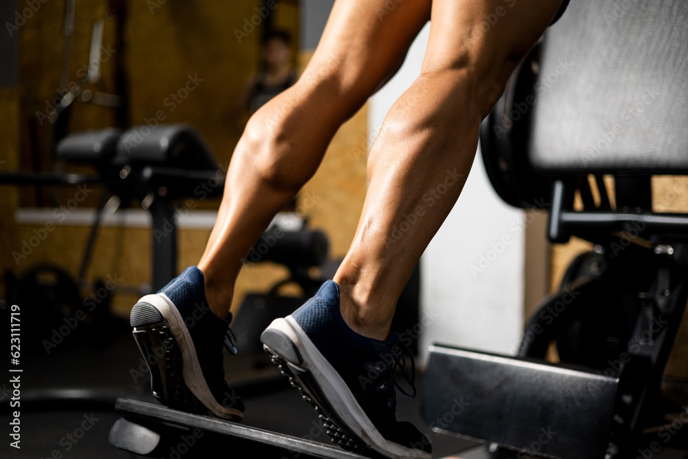 An unrecognizable bodybuilder is working the twins or gastrocnemius on a machine inside a gym. Concept of working legs, strong calves, lifting weight with gastrocnemius.