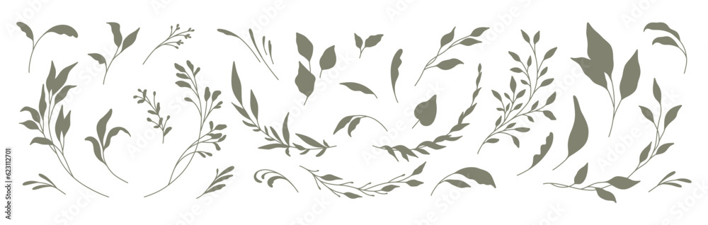 Set of silhouettes of branches and leaves. Hand drawn vector botanical elements