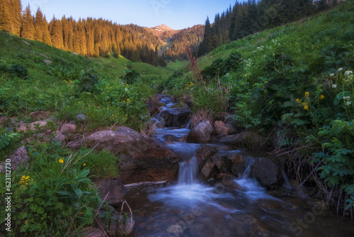 A small stream with clean clear water from a source against the backdrop of a Beautiful mountain landscape. Butakovo Gorge with Furmanov Peak, Almaty Kazakhstan, photo