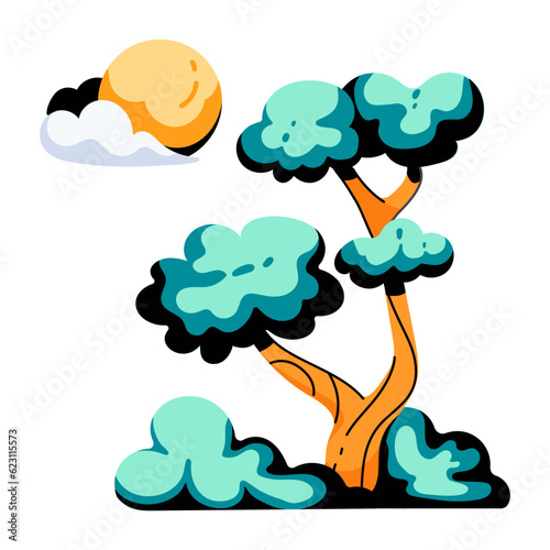 Nature Scenery 