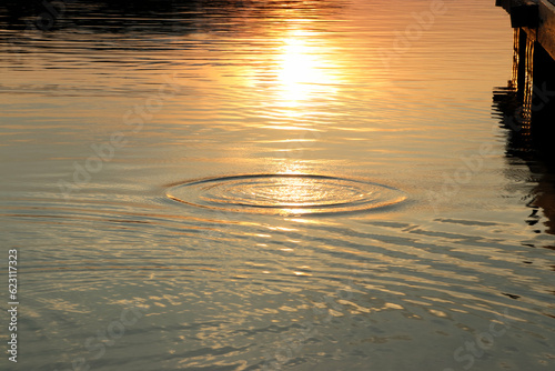reflection in water