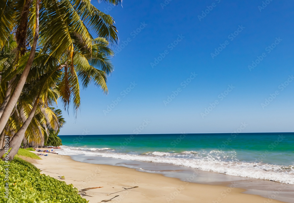 Fototapeta premium sunny beach shore with a blue wavy sea and palm trees - Summer Holiday