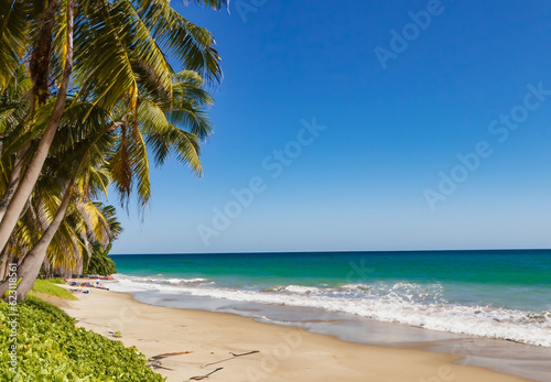 sunny beach shore with a blue wavy sea and palm trees - Summer Holiday