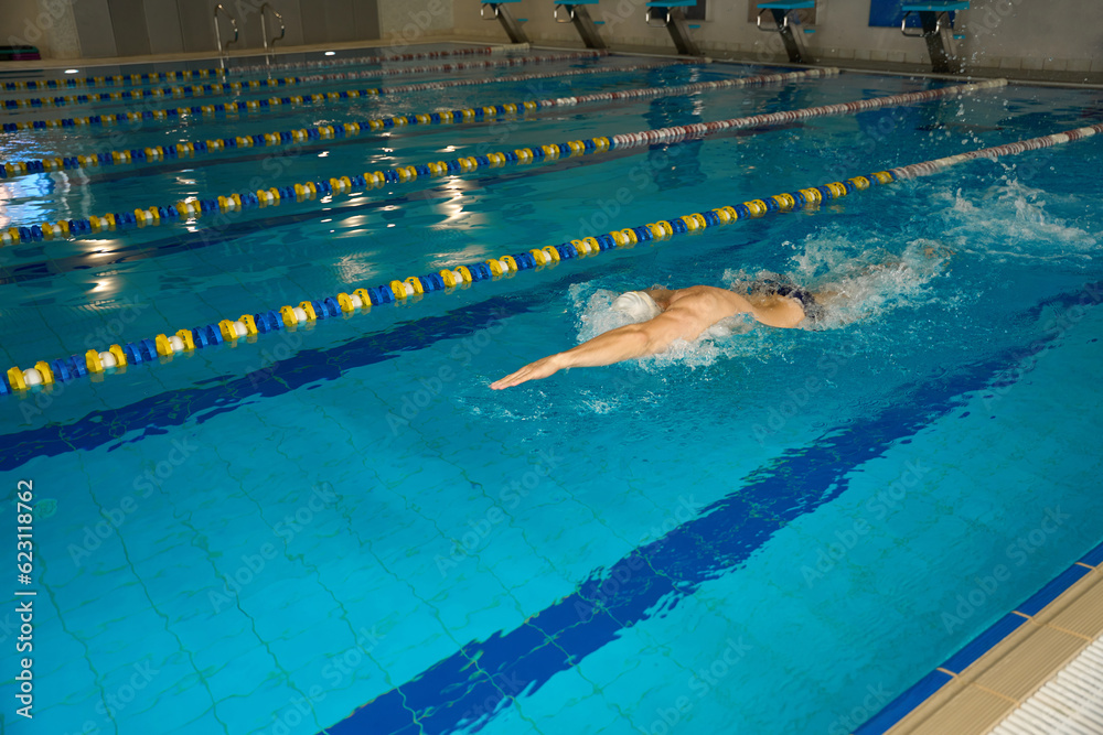 Adult man swimming crawl in the pool