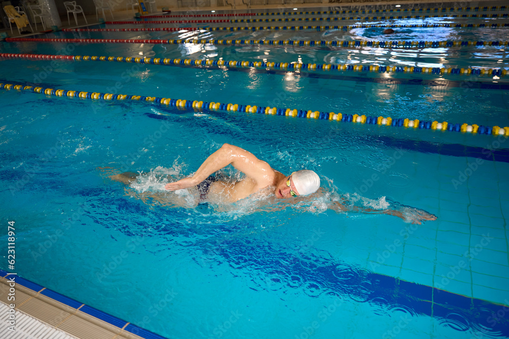 Adult sportsman swimming crawl in the pool