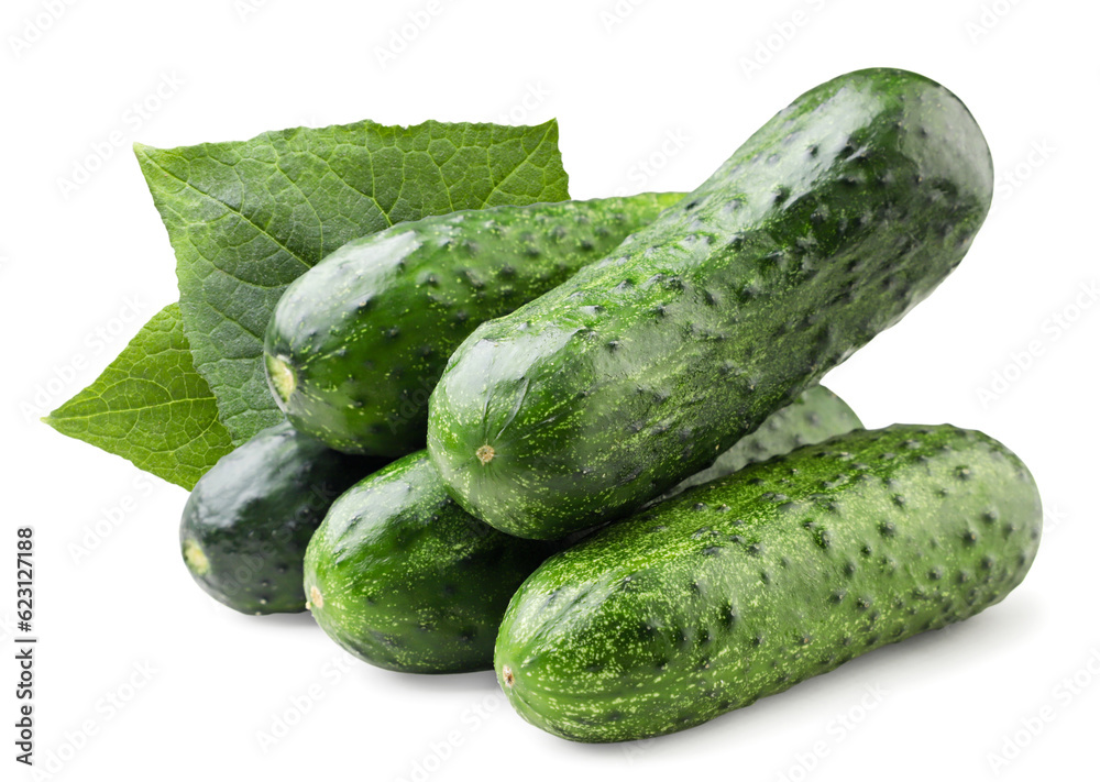 Heap of cucumbers with leaves close-up on a white background. Isolated Heap of cucumbers with leaves close-up on a white background. Isolated