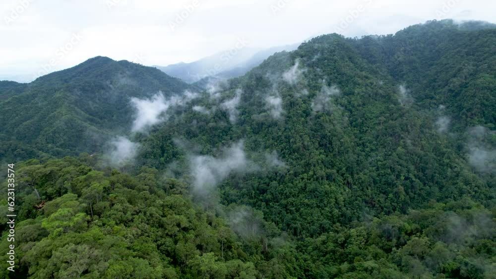Aerial view of a forest in the lush green rain cloud cover tropical rain forest mountain during the rainy season in the northern Thailand. Aerial view of a forest in the lush green rain cloud cover tropical rain forest mountain during the rainy season in the northern Thailand.