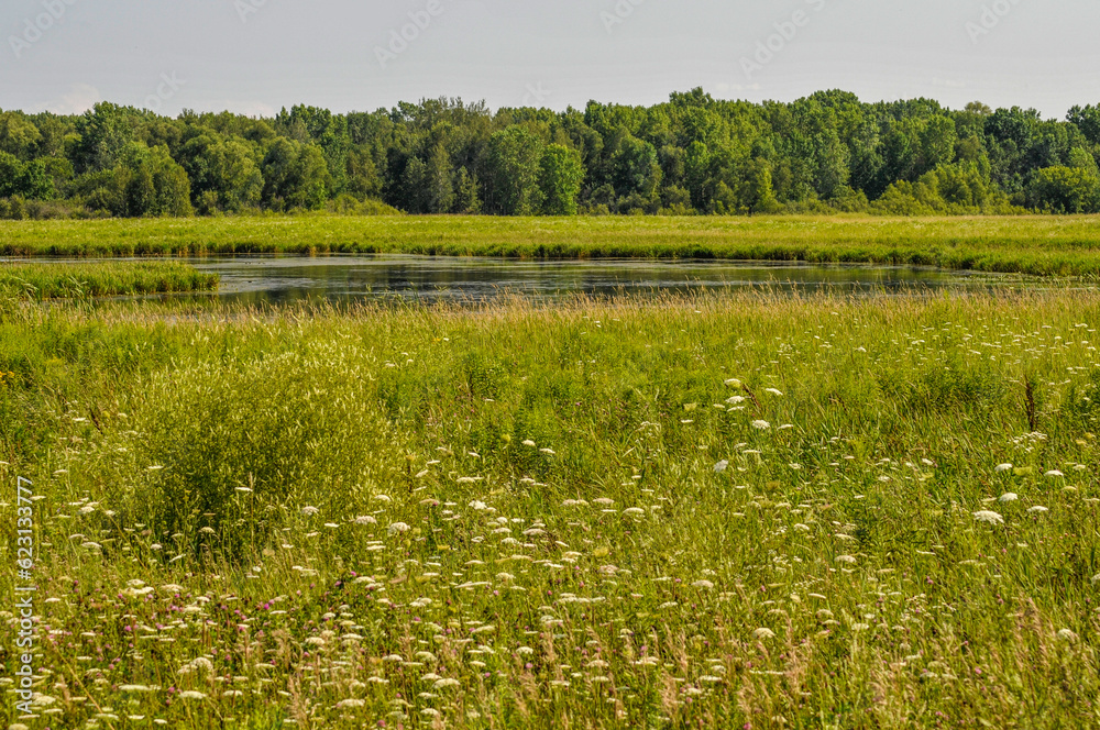 Pond On The Oneida Indian Reservation, Oneida, Wisconsin