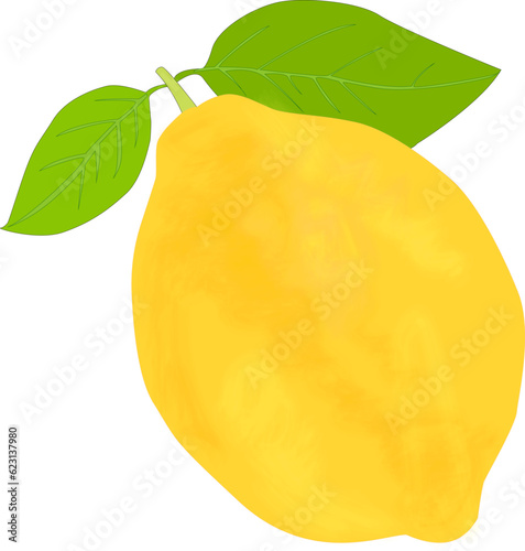 lemon in realism. sour fruit