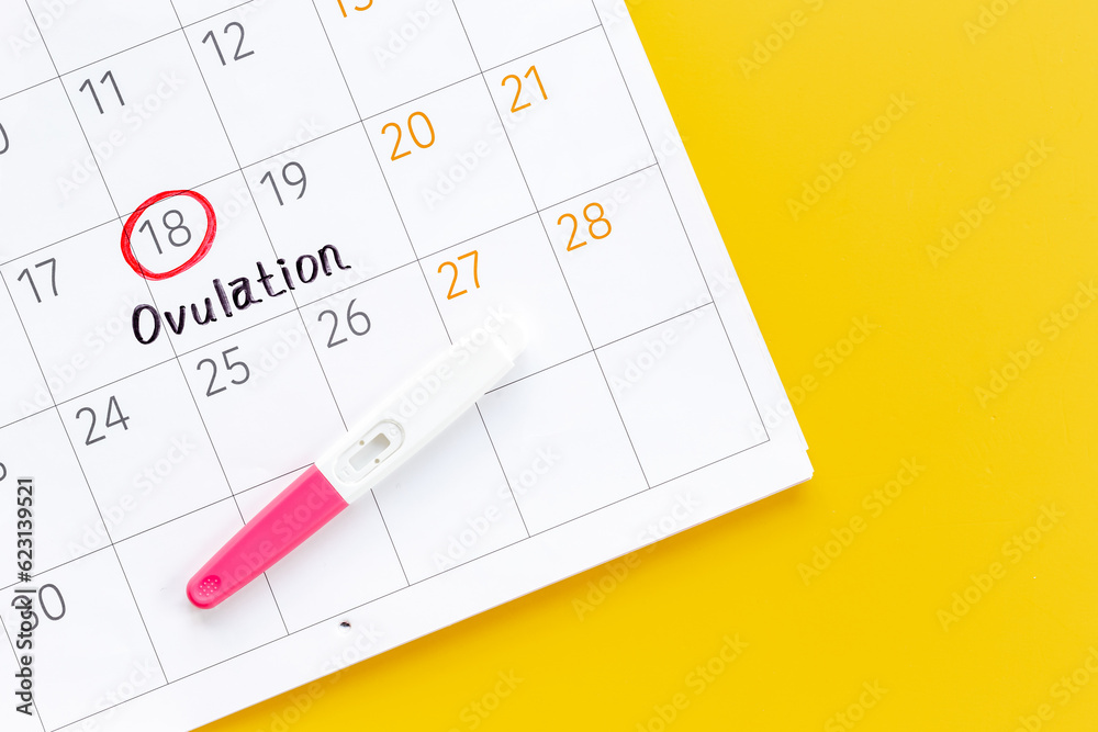 Pregnancy test with female ovulation day on calendar Pregnancy test with female ovulation day on calendar