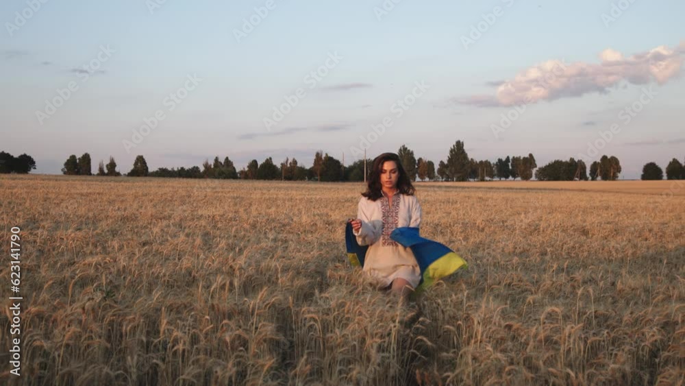Ukrainian patriot woman running with national flag in wheat field. Beautiful girl in embroidered ethnic traditional shirt. Ukraine, independence, democracy, victory in war. Ukrainian patriot woman running with national flag in wheat field. Beautiful girl in embroidered ethnic traditional shirt. Ukraine, independence, democracy, victory in war.