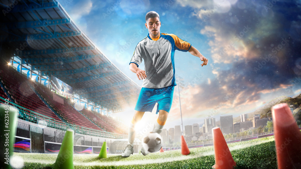 Naklejka premium professional soccer player workout on the grand field.