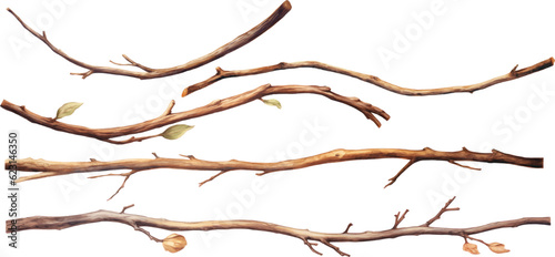 Canvastavla Rustic arch with tree branches and isolated design elements on white background