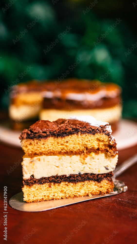 piece of cake piece of cake