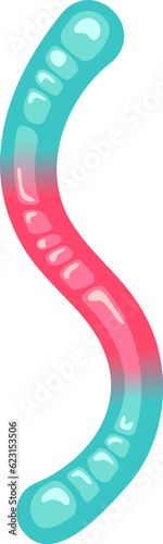 Jelly Gum Worm Candy