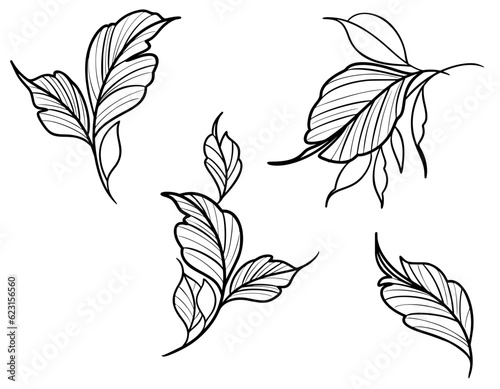 simple leaf and foliage decoration outline SVG vector