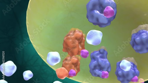 In biochemistry and pharmacology, receptors are chemical structures, composed of protein, that receive and transduce signals that may be integrated into photo