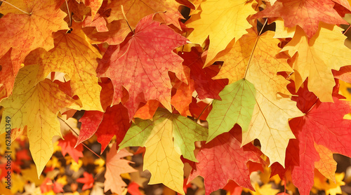                                 autumn Maple colorful  Generative AI 