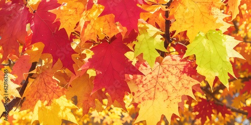                                 autumn Maple colorful  Generative AI 