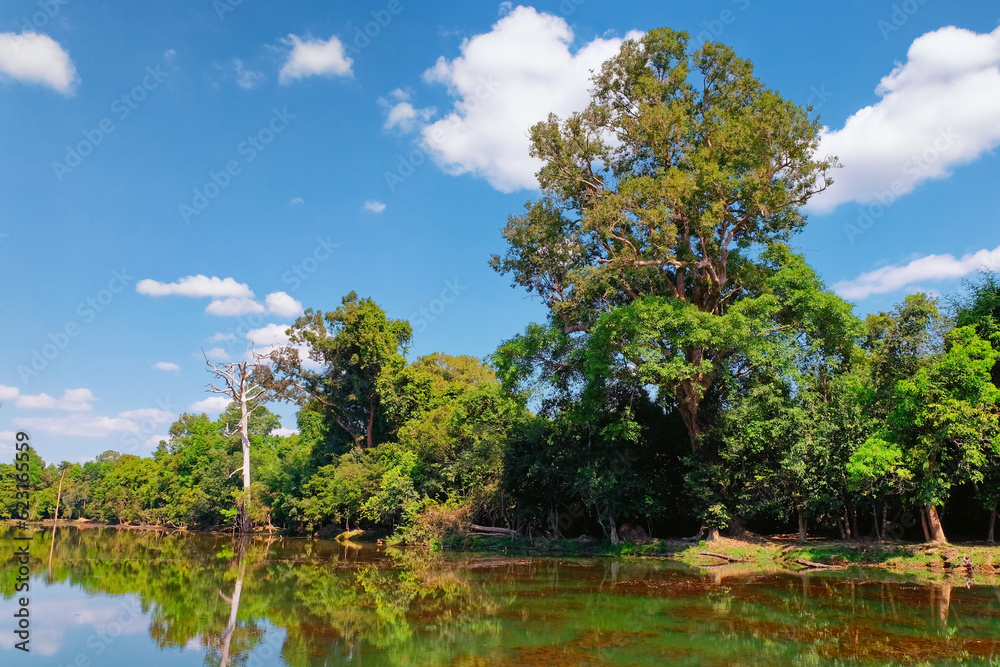 Photograph illustrating trees standing on the shore of a shallow pond on a bright autumn day, under white cumulus clouds in a blue sky. Photograph illustrating trees standing on the shore of a shallow pond on a bright autumn day, under white cumulus clouds in a blue sky.