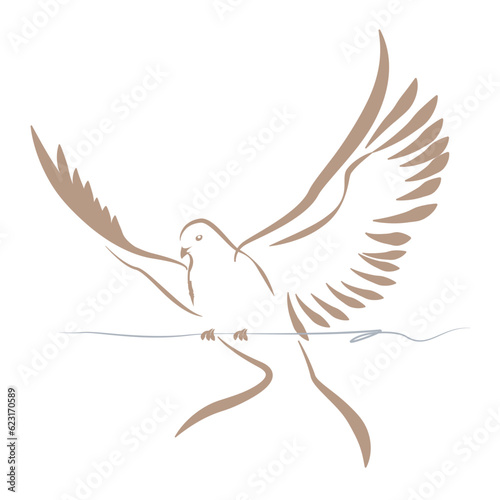 a flying peaceful dove