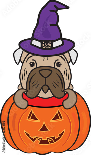 Halloween T-Shirt Design | Halloween Sublimation Digital Design| Halloween Design
