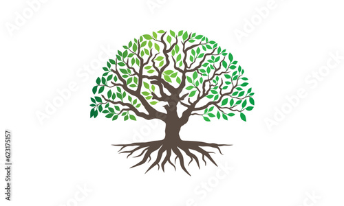 Tree vector illustrations roots mangrove tree vector isolated