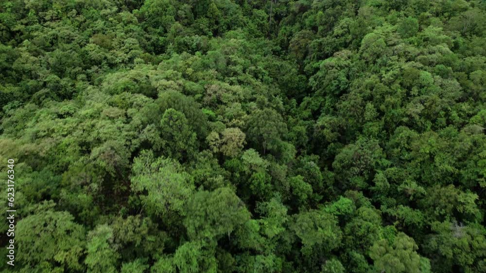 Aerial view of a forest in the lush green rain cloud cover tropical rain forest mountain during the rainy season in the northern Thailand. Aerial view of a forest in the lush green rain cloud cover tropical rain forest mountain during the rainy season in the northern Thailand.