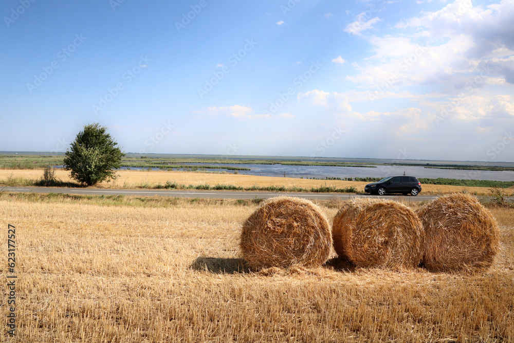 cereal bales on a dried agricultural field