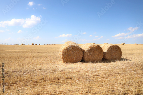 cereal bales on a dried agricultural field