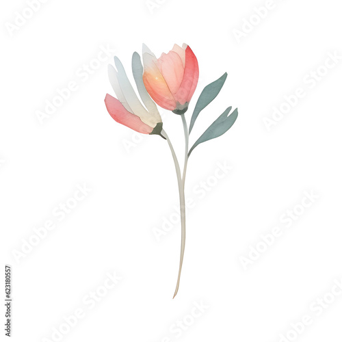 Watercolor of floral isolated on transparent background