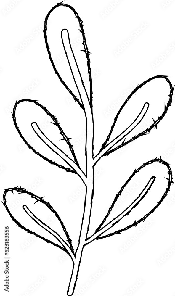Branch with leaves line drawing. Branch with leaves line drawing.