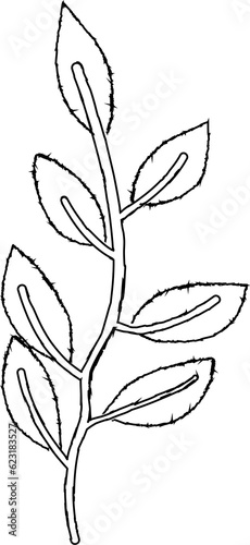 Branch with leaves line drawing.