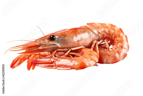 A mouth watering shrimp, isolated, white background, generative ai