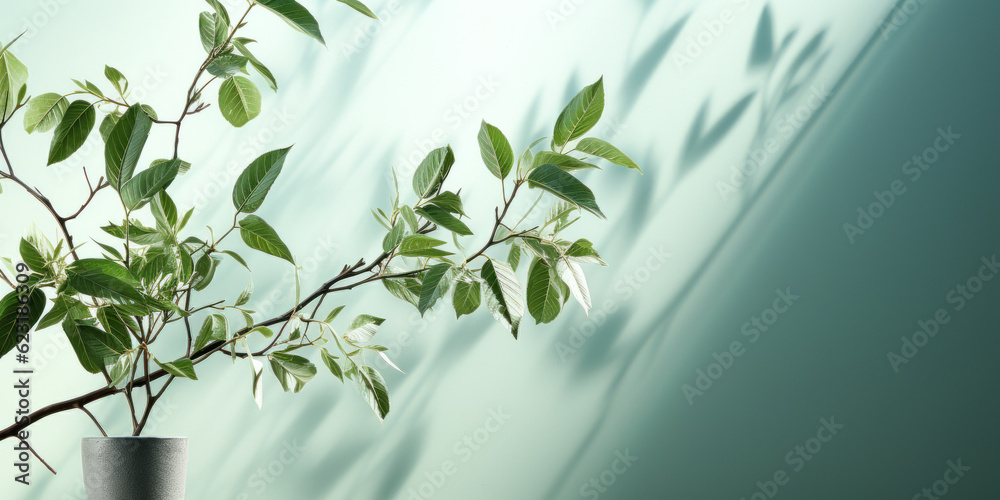 Lush Greenery: Enhance Your Modern Interior Design with our Tropical Tree Branch Display and Soothing Pastel Turquoise Blue Green Wall for Luxury Organic Cosmetic and Skincare Product Background Lush Greenery: Enhance Your Modern Interior Design with our Tropical Tree Branch Display and Soothing Pastel Turquoise Blue Green Wall for Luxury Organic Cosmetic and Skincare Product Background