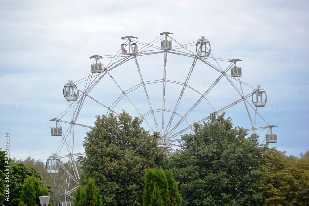 Fototapeta premium ferris wheel in the park