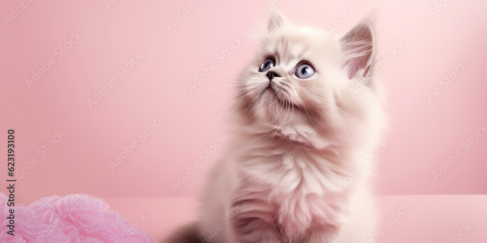 AI Generated. AI Generative. face frontal cute funny cate portrait on pink background. Happy animal pet promotion vibe. Graphic Art