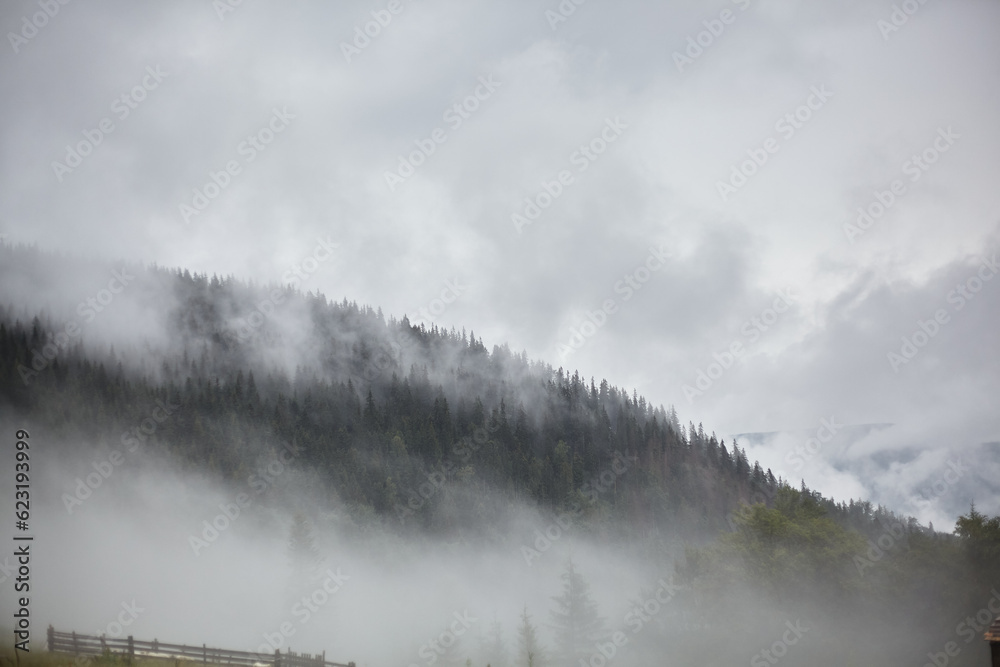 Carpathians, mountains in the fog, landscape of summer landscapes