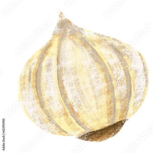 Yellow Garlic