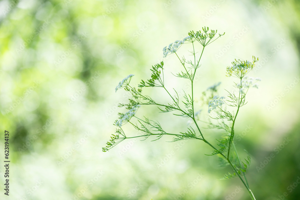Natur und Landschaft Natur und Landschaft